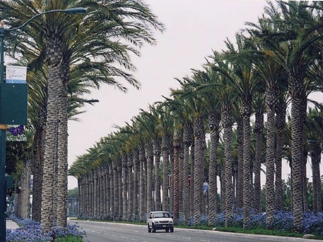 Anaheim Street